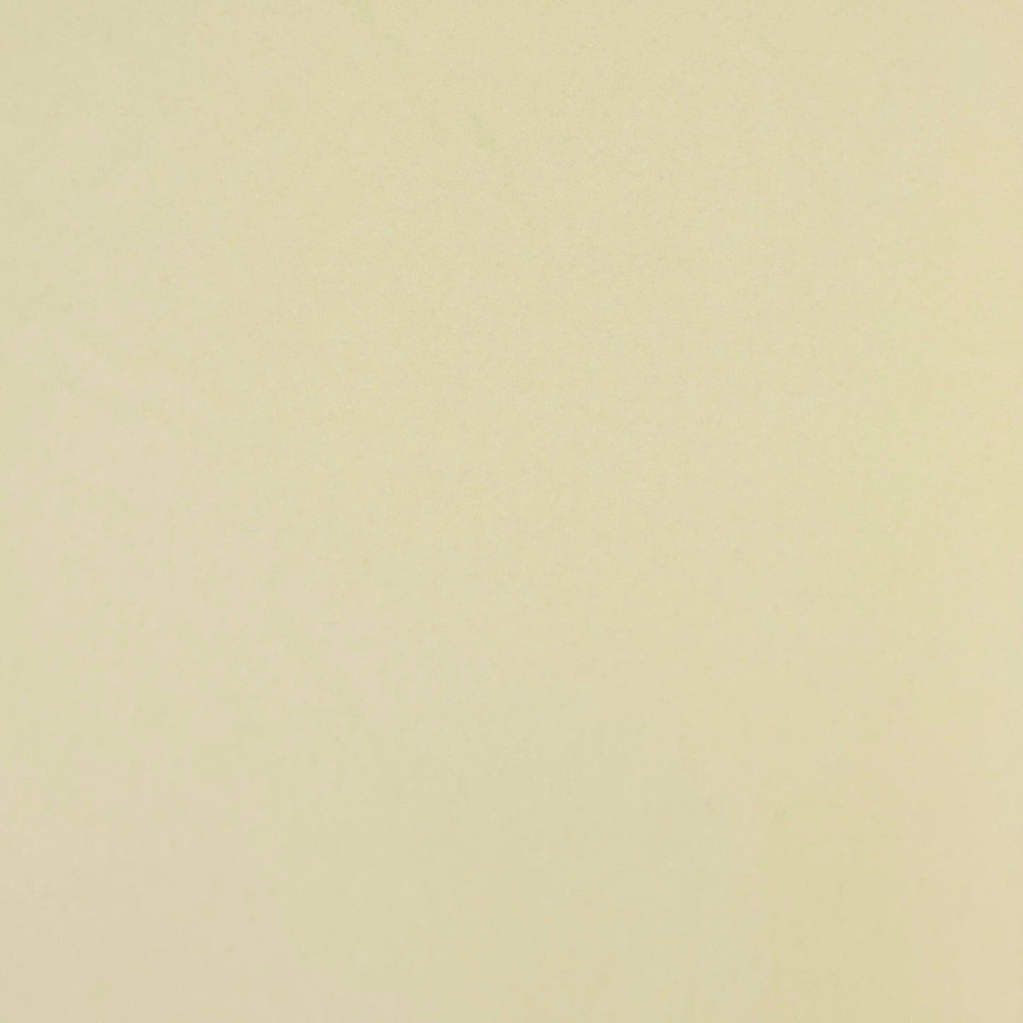 Cotton Knit Plain | Rich Cream - Discontinued - Ragland Fabrics