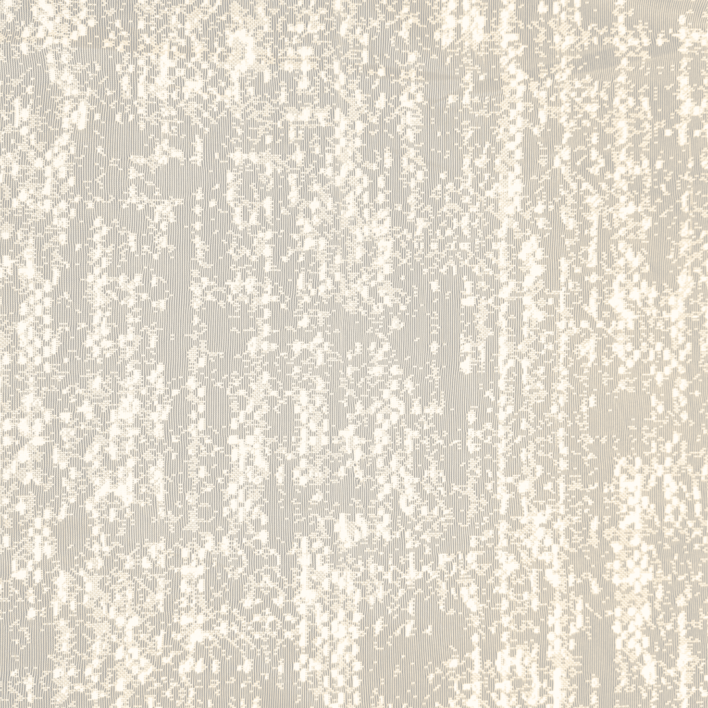 Lace Curtaining Pasha Champagne 008006 - Ragland Fabrics