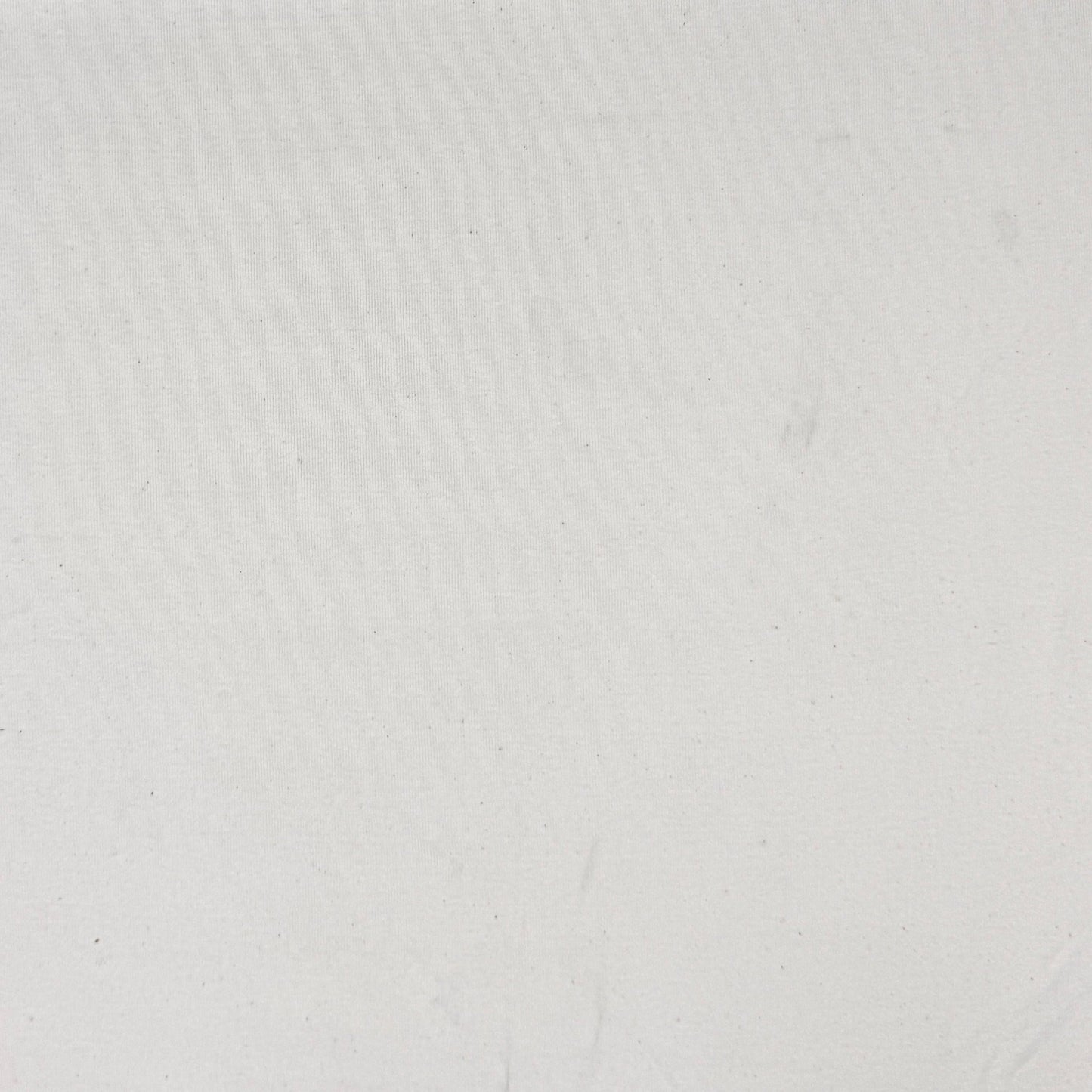Cotton Knit Plain | Bone - Discontinued - Ragland Fabrics