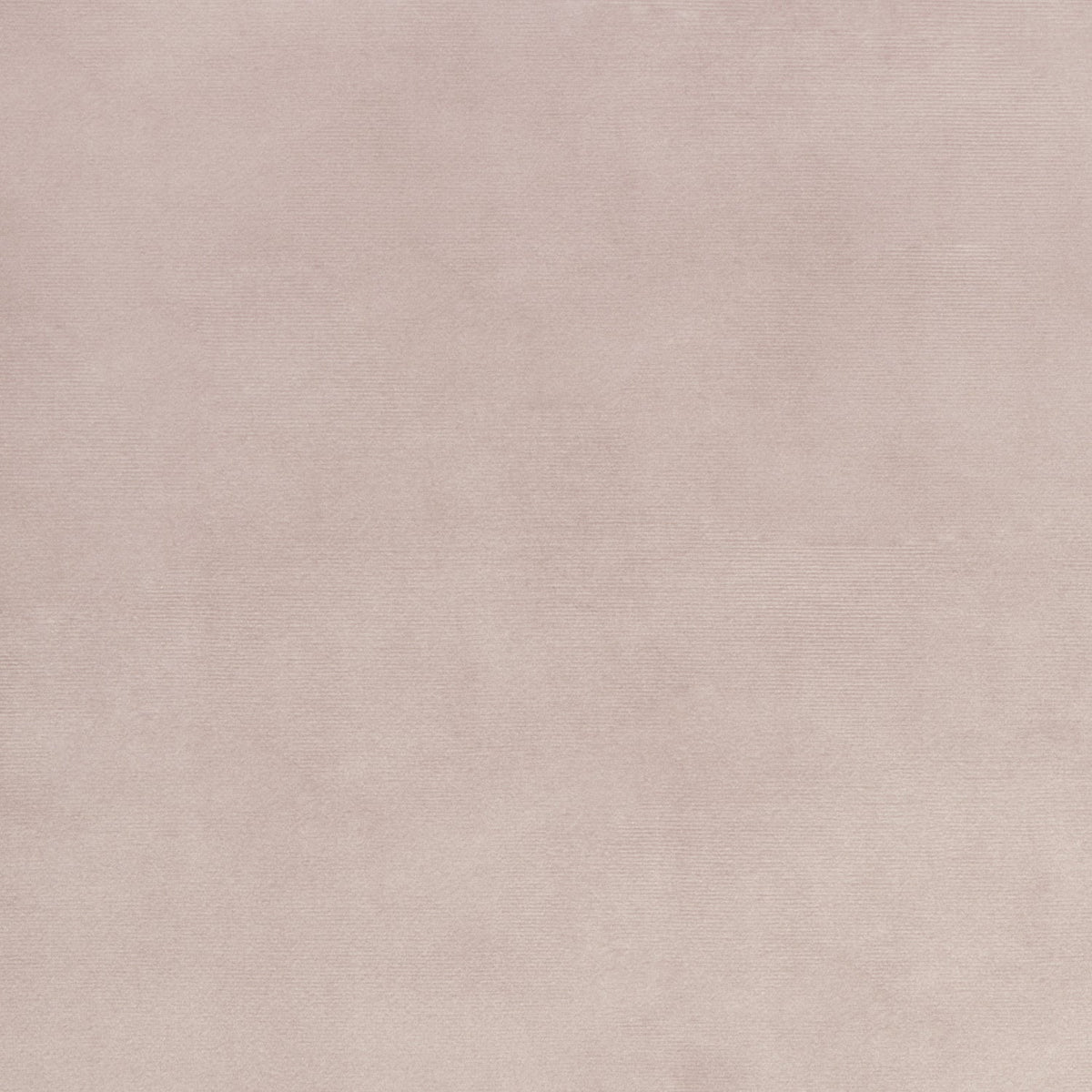 Bella Rosa Plain Velvet 140cm Rose Cloud - Ragland Fabrics