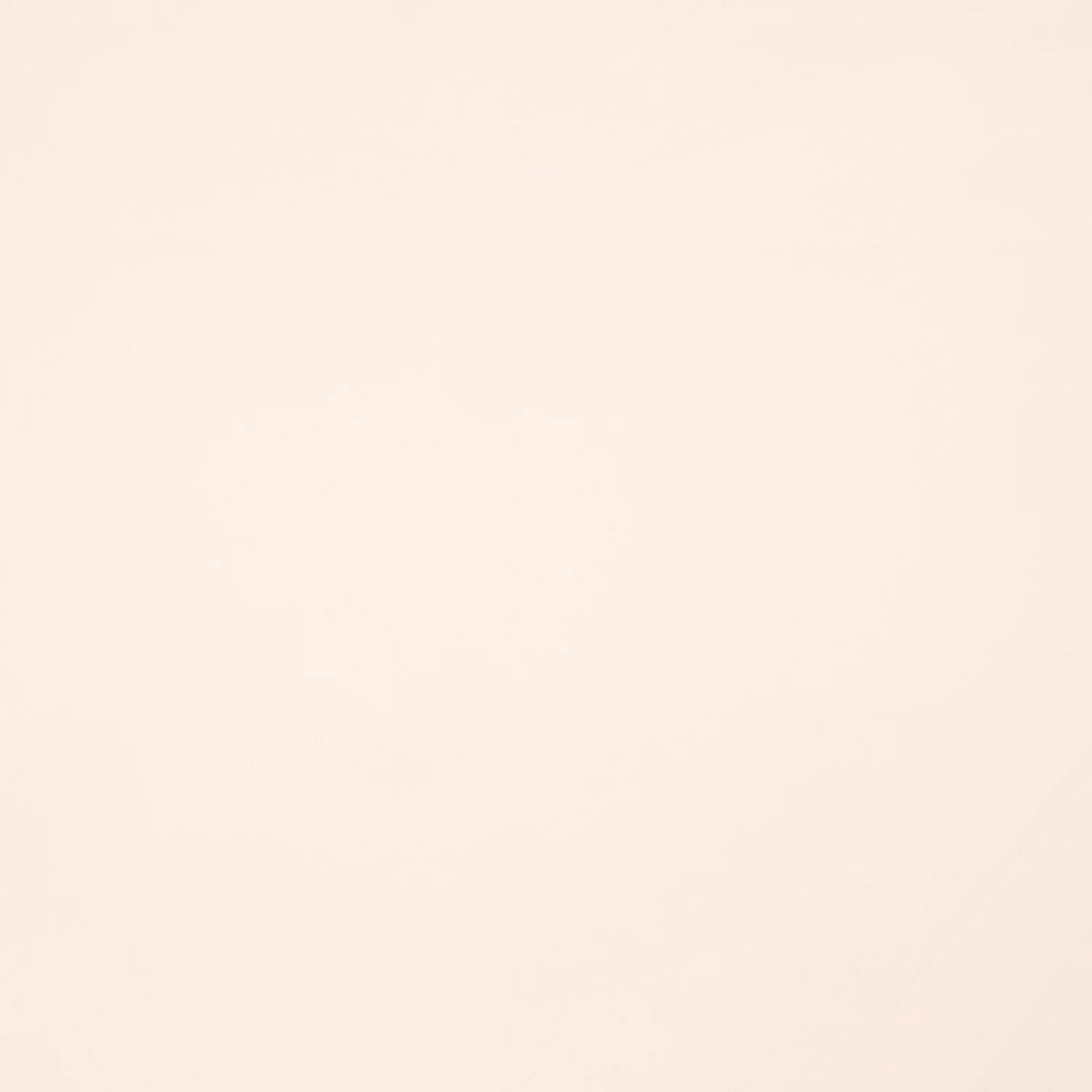 Scuba Knit Beige - Ragland Fabrics