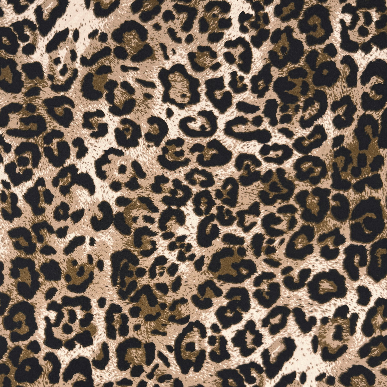 Dty Printed Stretch Animal Kingdom D6C1 - Ragland Fabrics