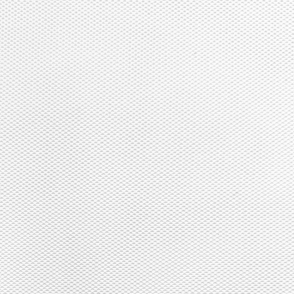 Eyelet Mesh White - Ragland Fabrics