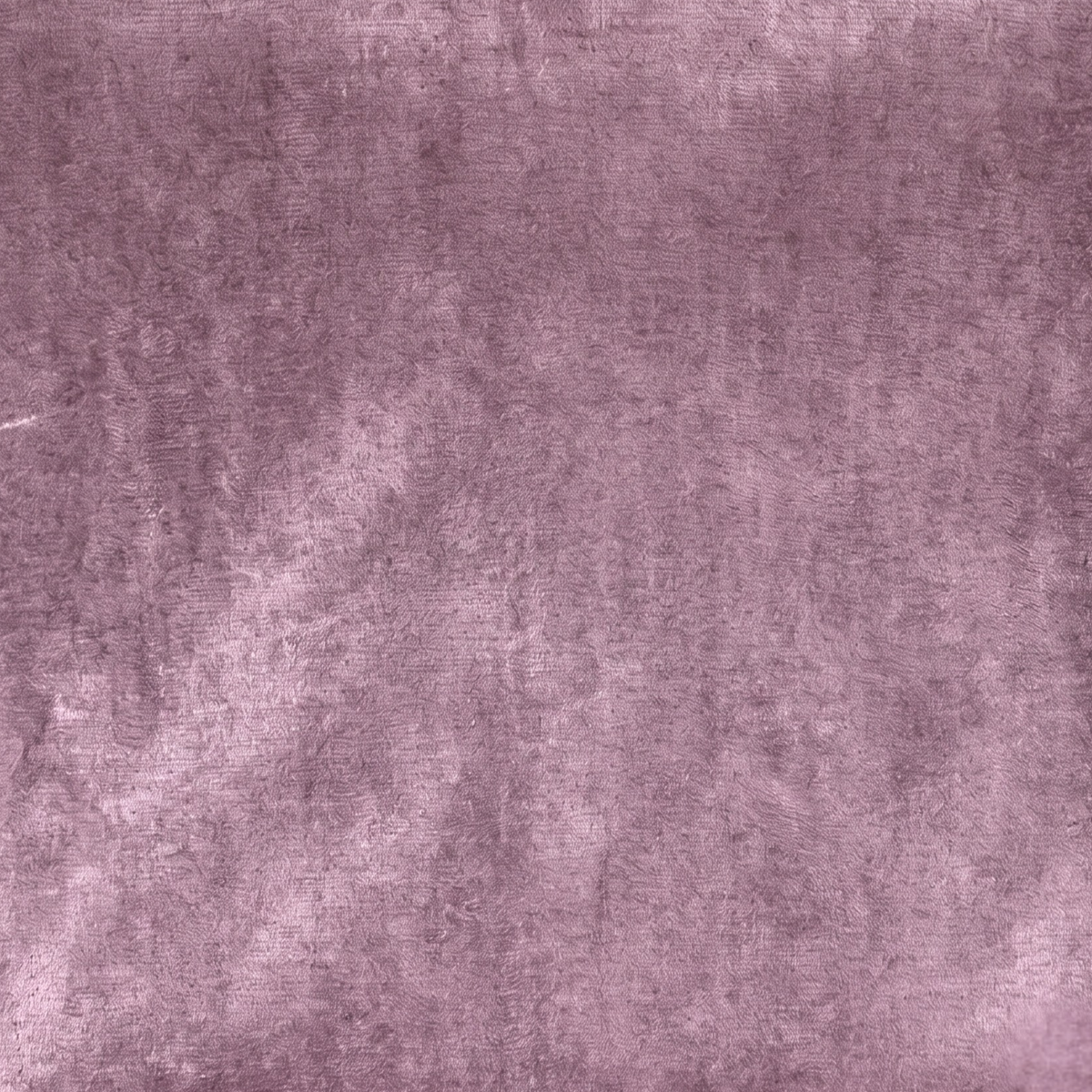 Designer Tracksuit Velour Mauve Plain & Print