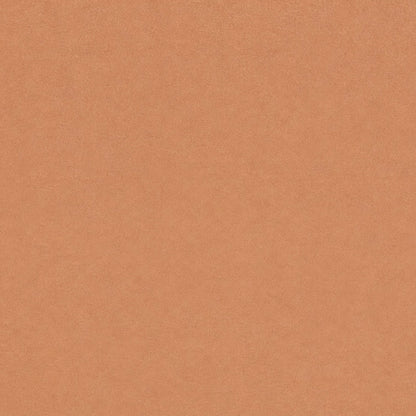 European Upholstery 2026 #02
