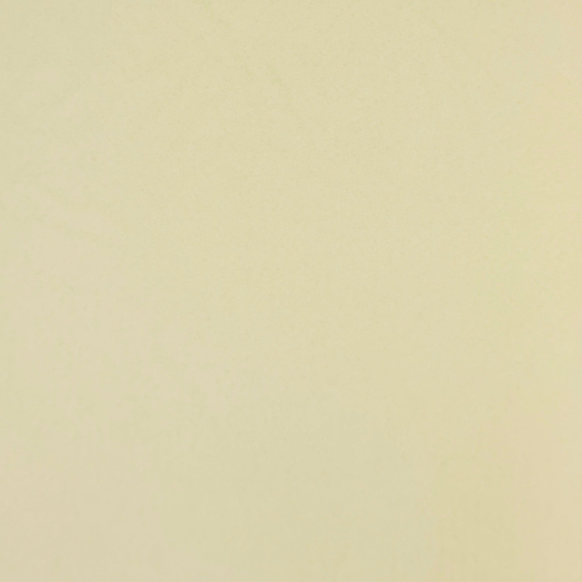 Cotton Knit Plain | Rich Cream - Discontinued - Ragland Fabrics