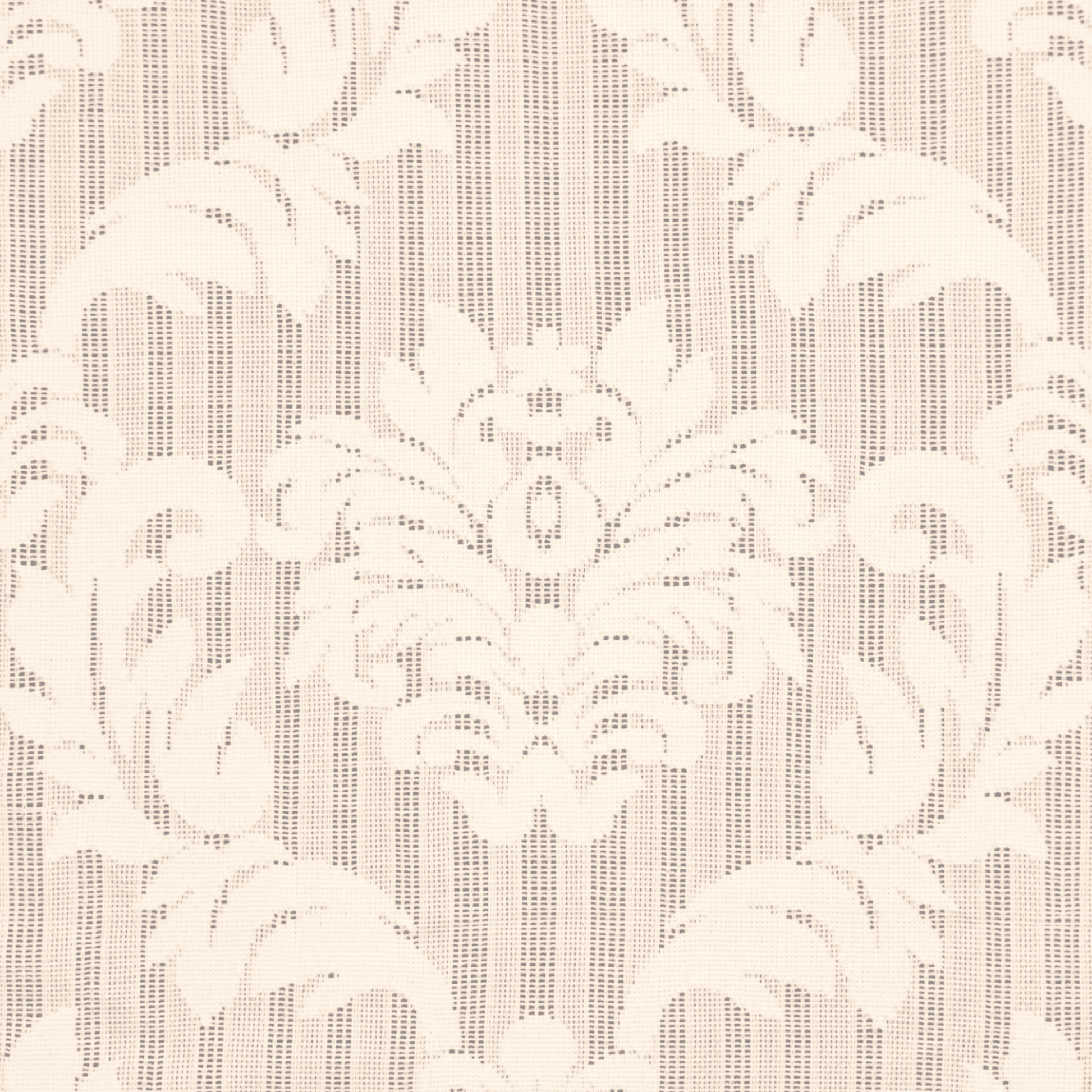 Lace Curtaining Hope Champagne 000918 - Ragland Fabrics