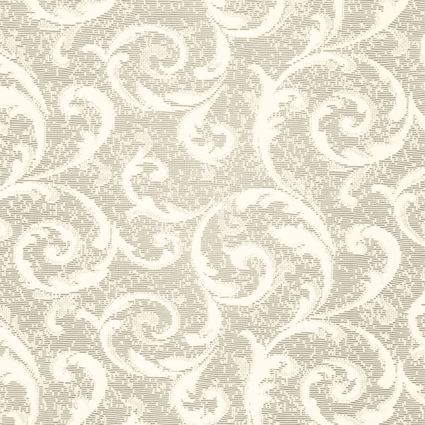 Lace Curtaining Pasha Champagne 008005 - Ragland Fabrics