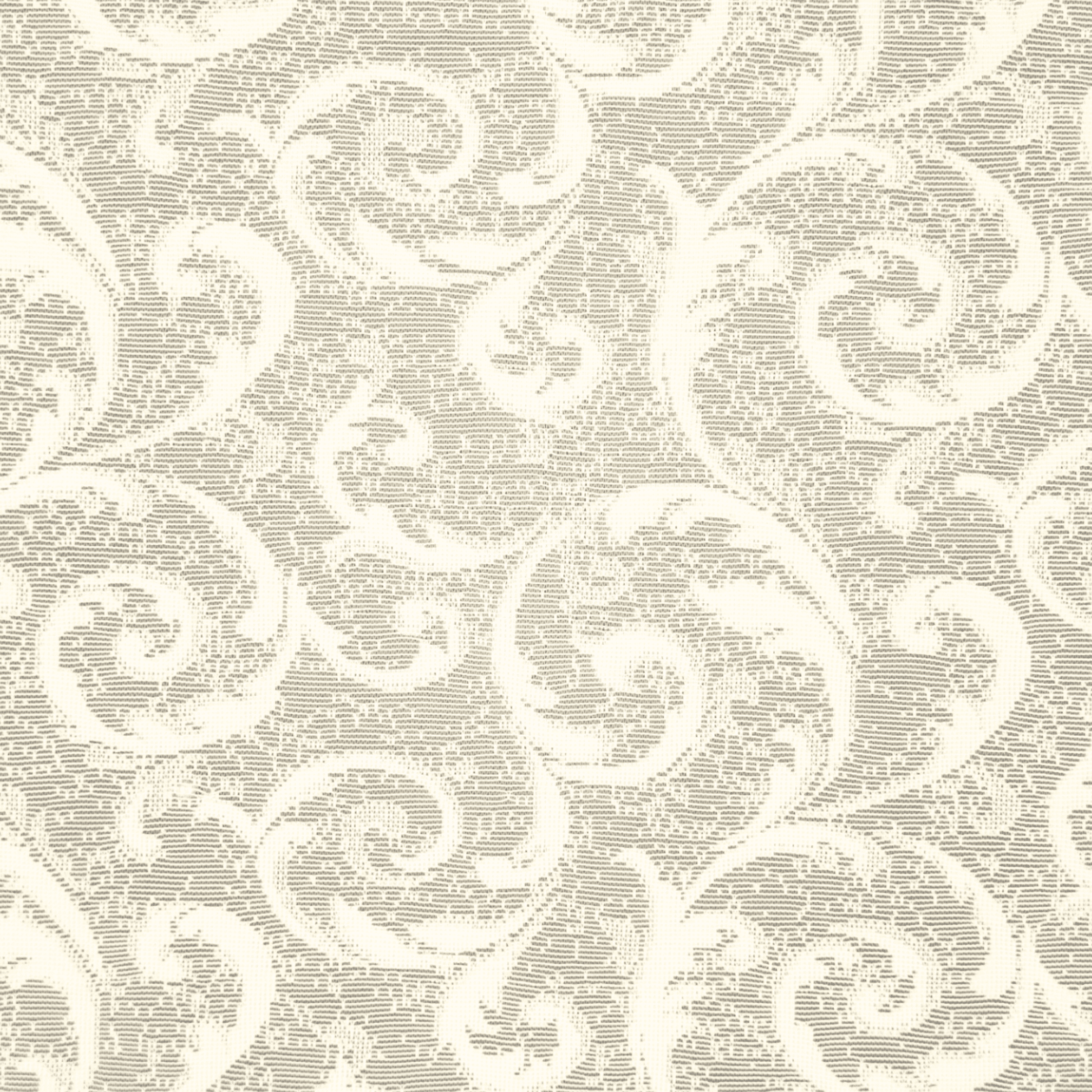 Lace Curtaining Pasha Champagne 008005 - Ragland Fabrics