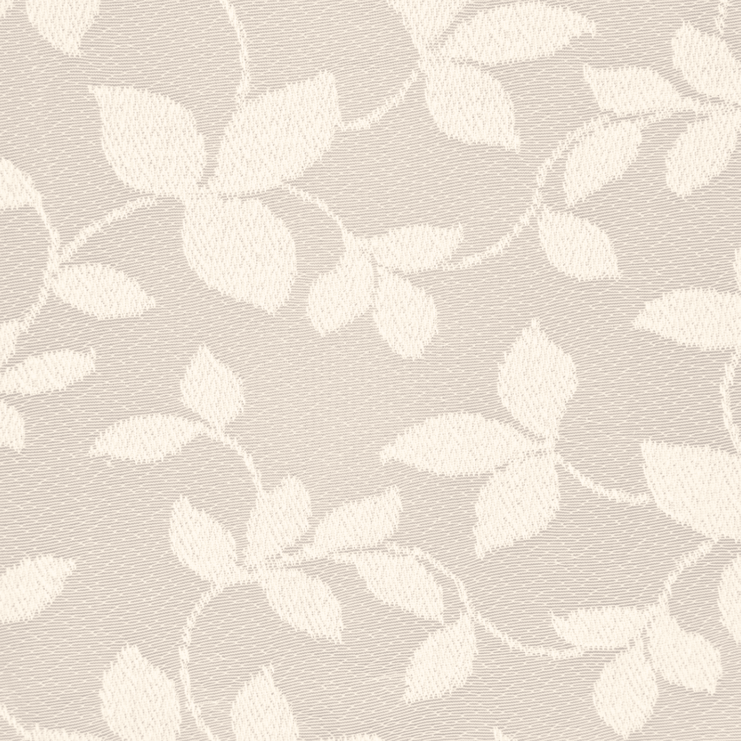 Lace Curtaining Pasha Champagne 008015 - Ragland Fabrics