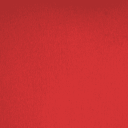 DTY Stretch Red - Ragland Fabrics