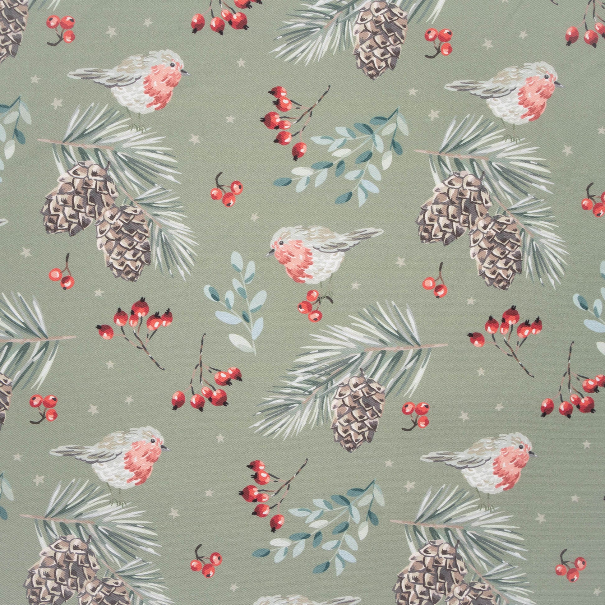 Eco Fabric Pine Cones Olive 2098 - Ragland Fabrics