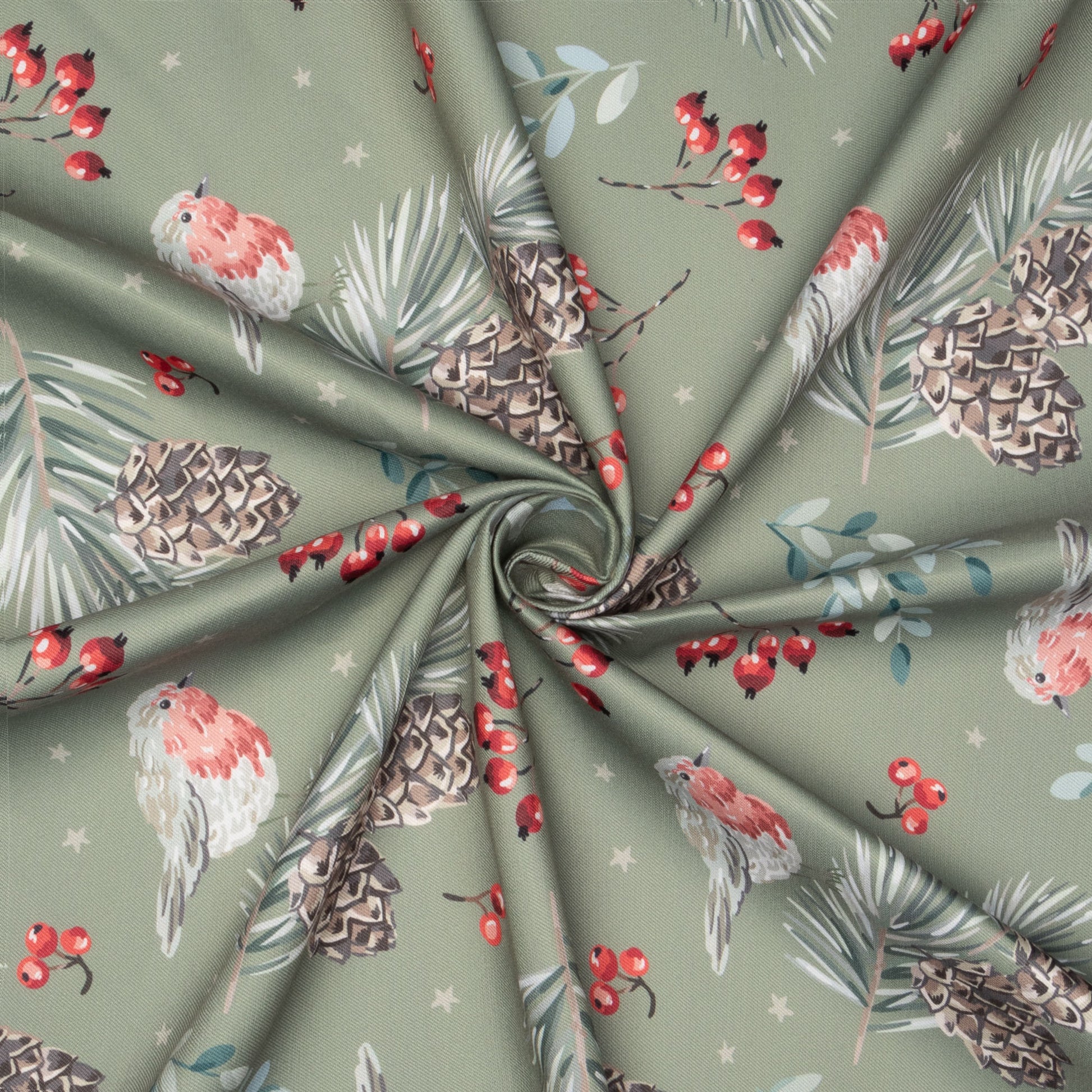 Eco Fabric Pine Cones Olive 2098 - Ragland Fabrics