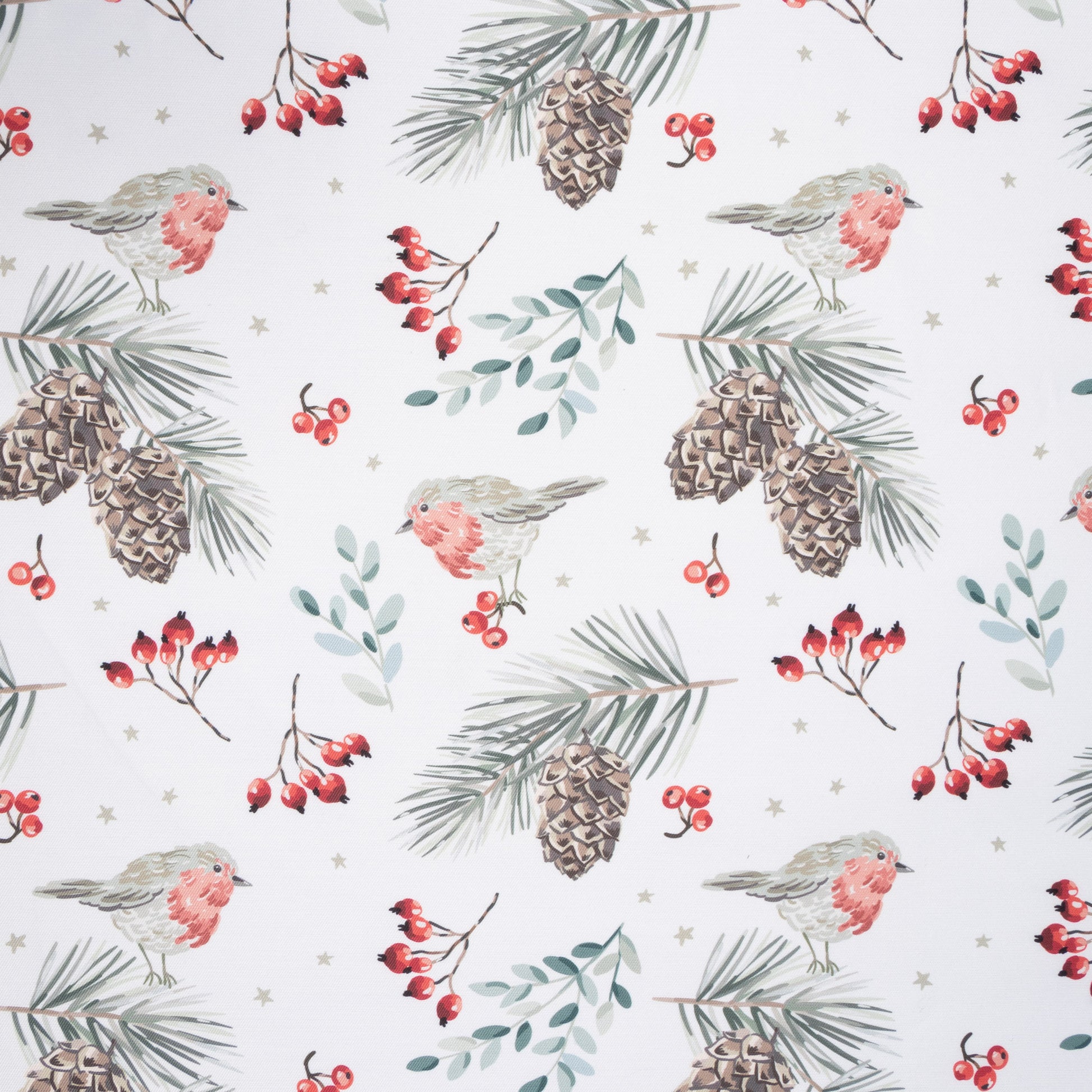Eco Fabric Pine Cones White 2099 - Ragland Fabrics