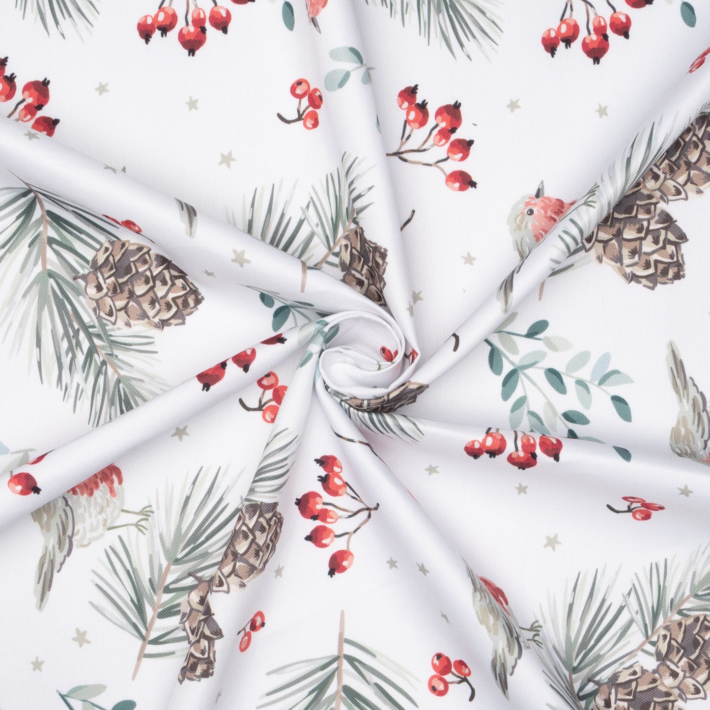 Eco Fabric Pine Cones White 2099 - Ragland Fabrics