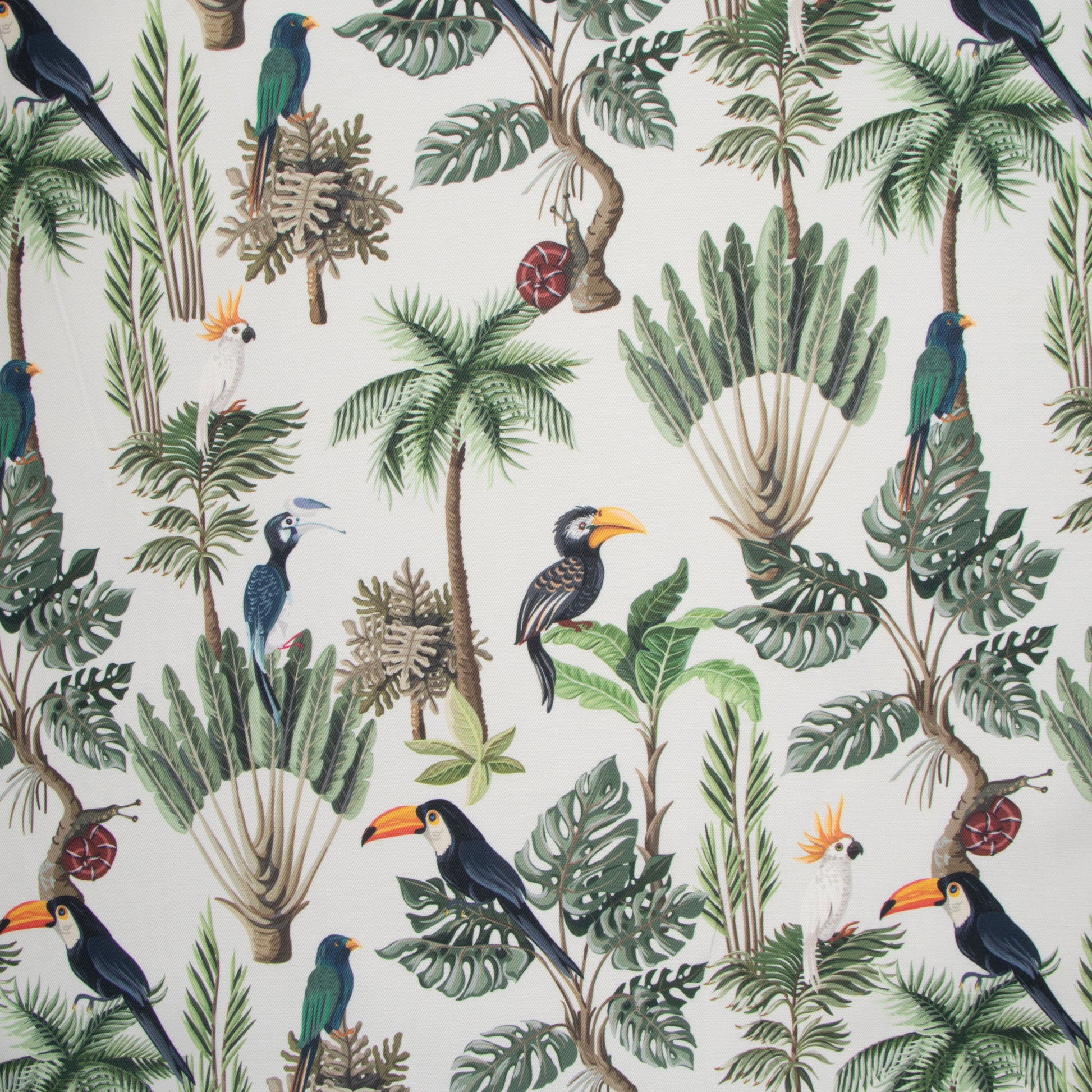 Eco Fabric Toucan Beige 140cm - Ragland Fabrics