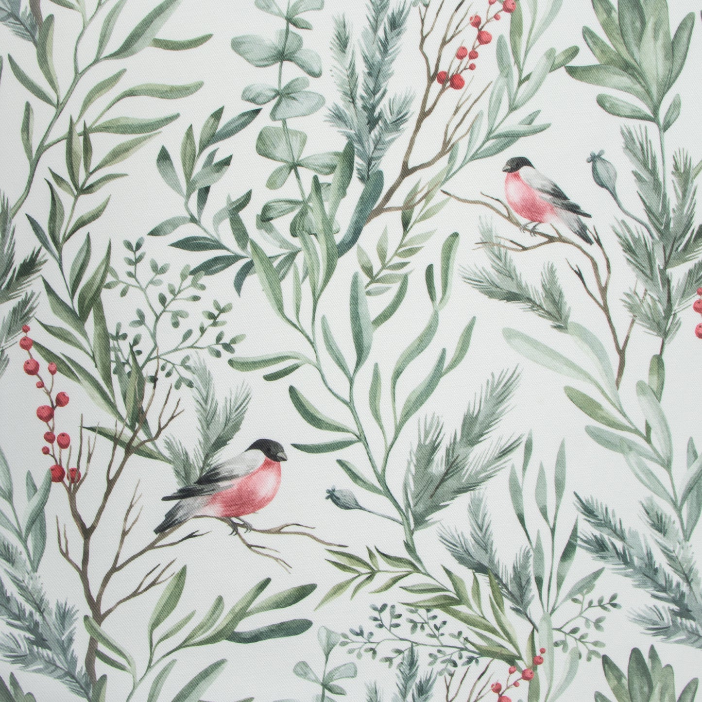 Eco Fabric Robin White - Ragland Fabrics