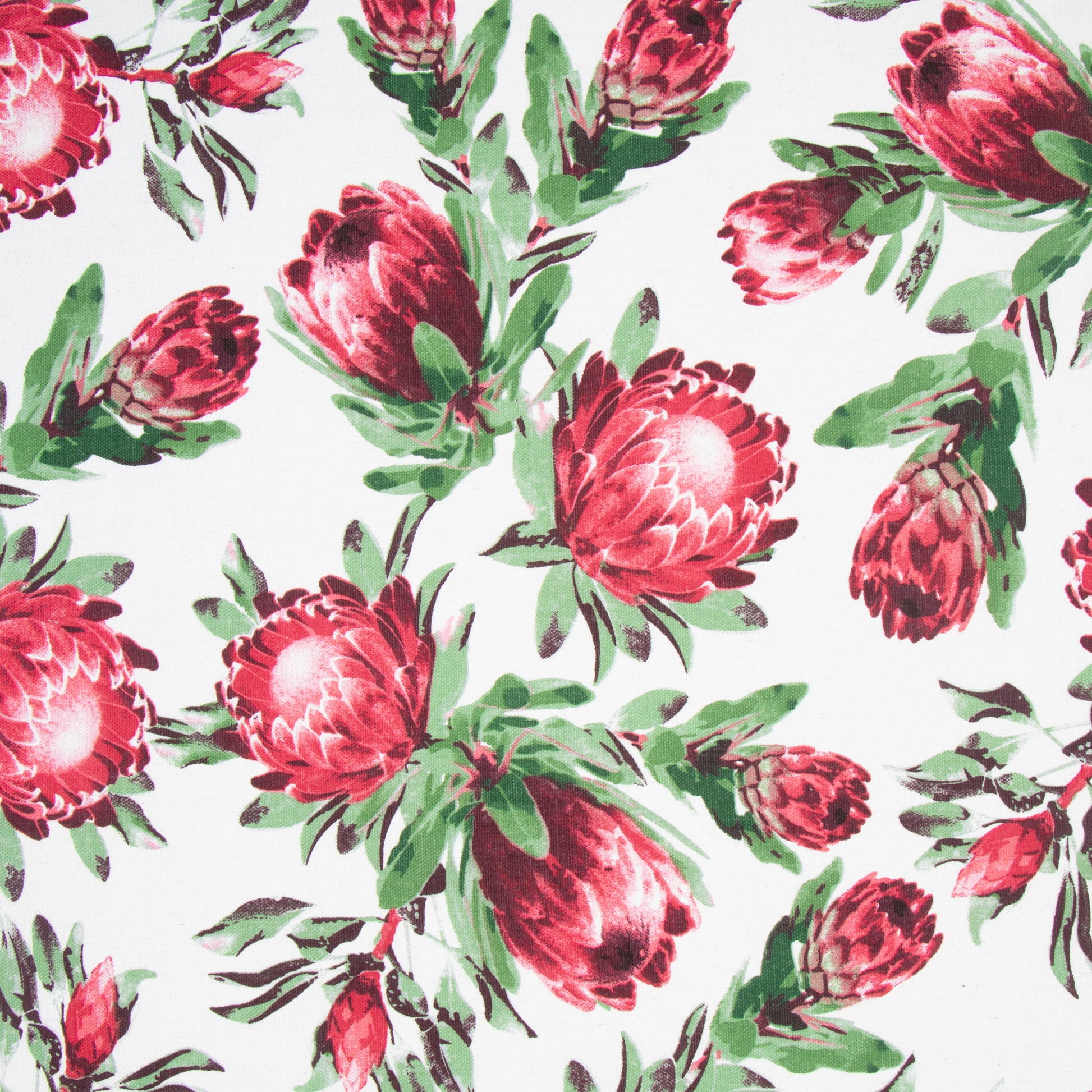 Cotton Canvas Printed Protea White - Ragland Fabrics
