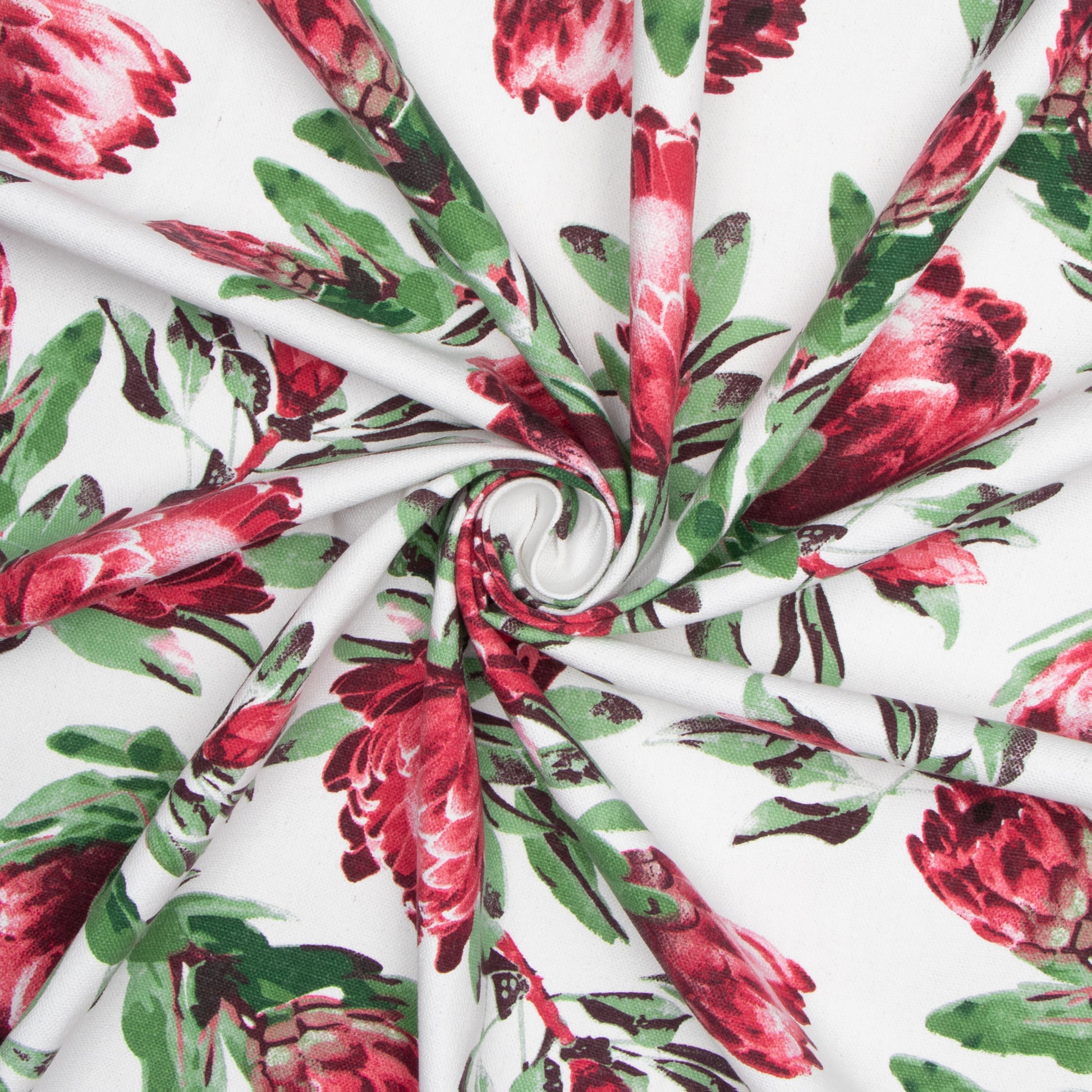 Cotton Canvas Printed Protea White - Ragland Fabrics