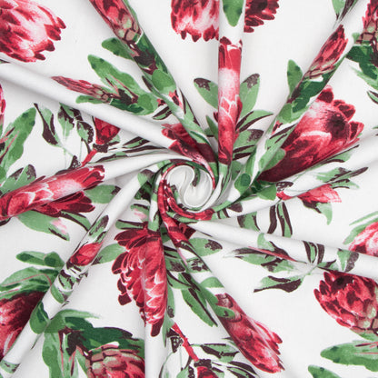 Cotton Canvas Printed Protea White - Ragland Fabrics