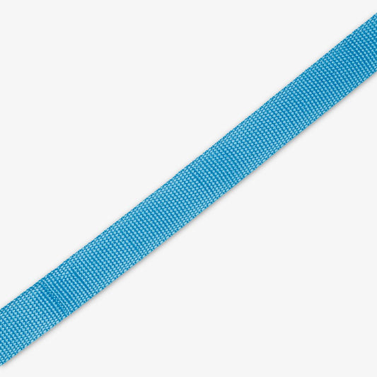 Webbing 25mm Turquoise 2 - Ragland Fabrics