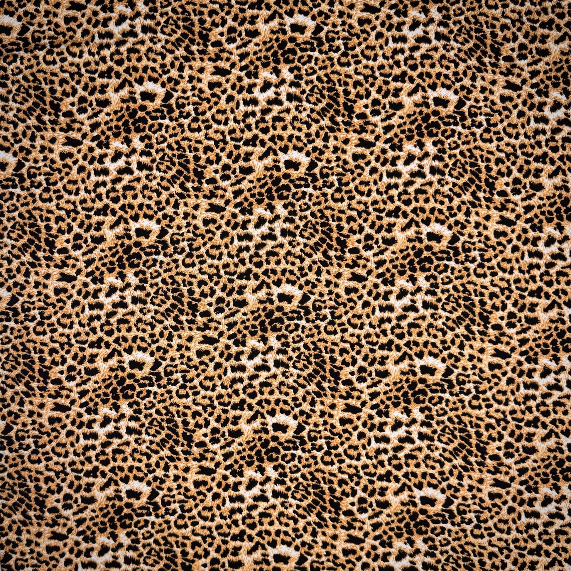 Dty Printed Stretch Animal Kingdom D2C1 - Ragland Fabrics