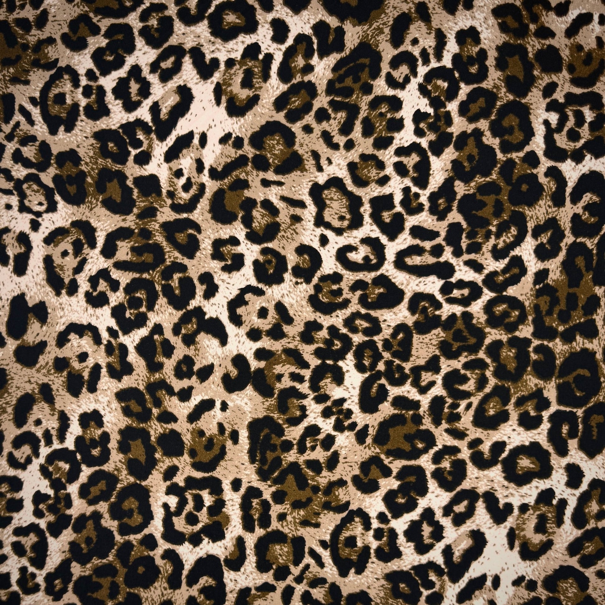 Dty Printed Stretch Animal Kingdom D8C1 - Ragland Fabrics
