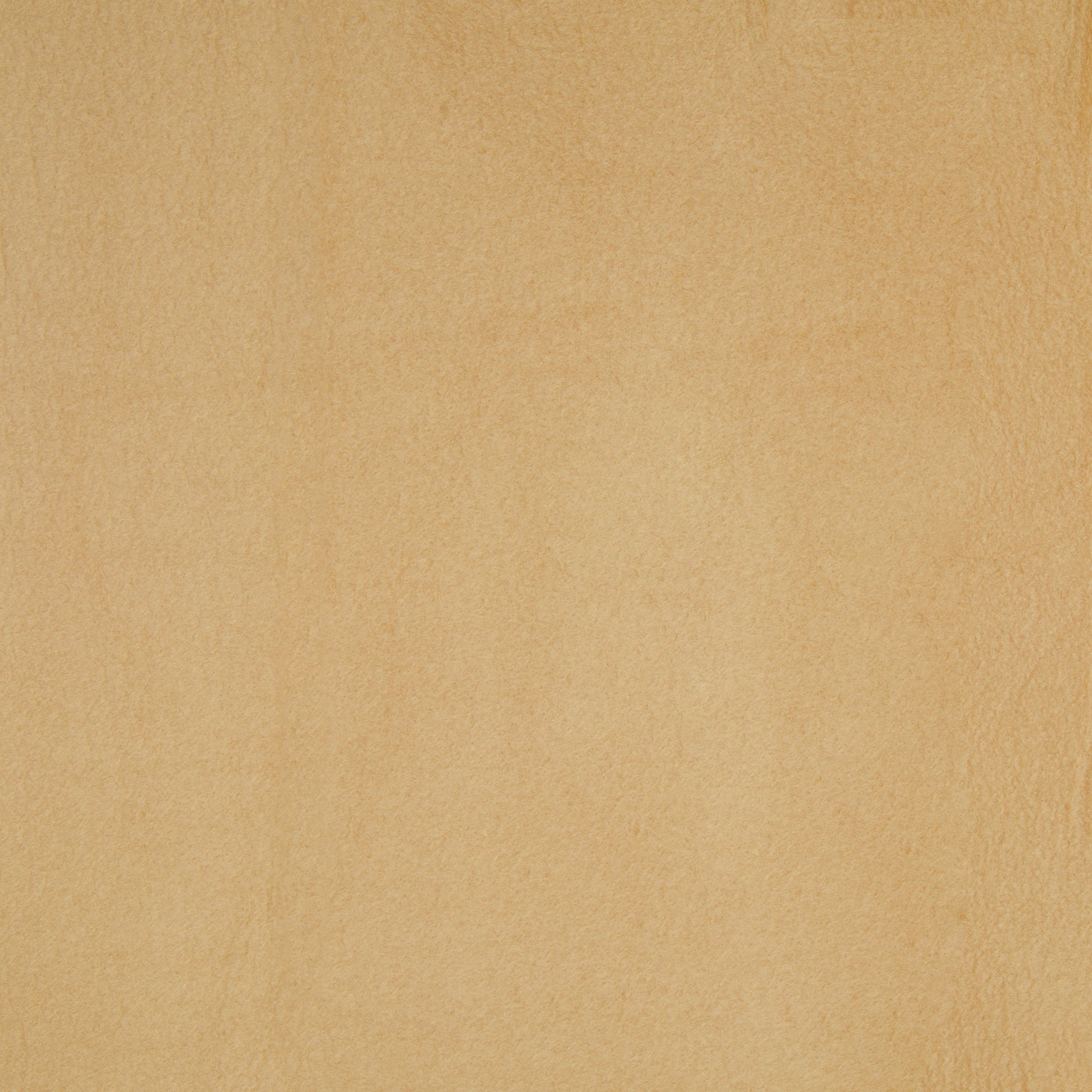 Plain Polar Fleece Beige 140cm - Ragland Fabrics