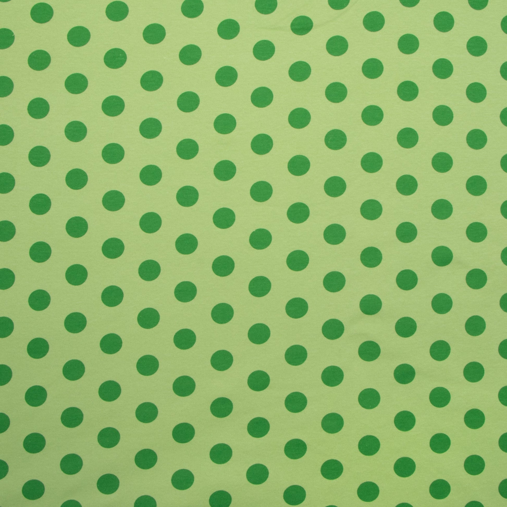 Cotton Knit Dotty Lime - Ragland Fabrics