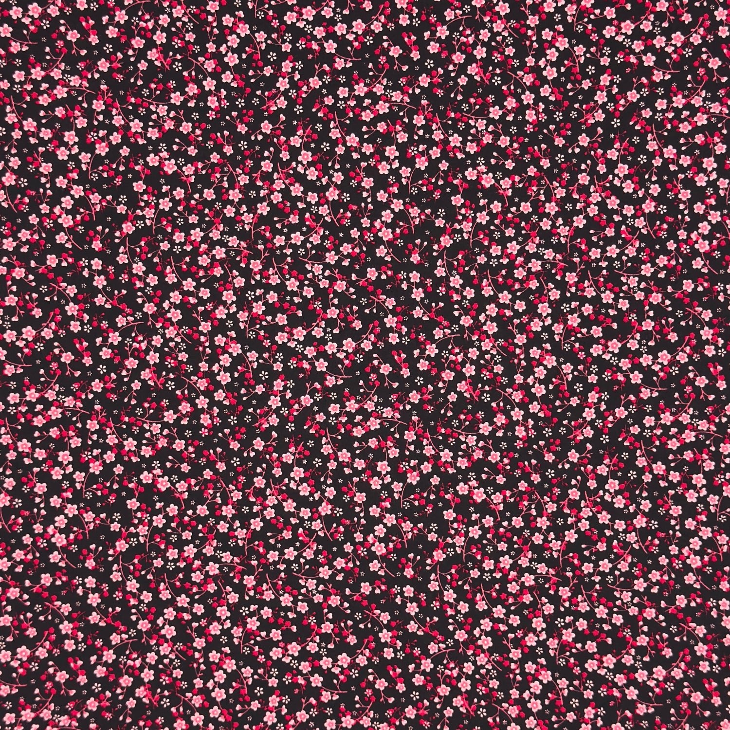 Cotton Quilting Des.116200 3 - Ragland Fabrics