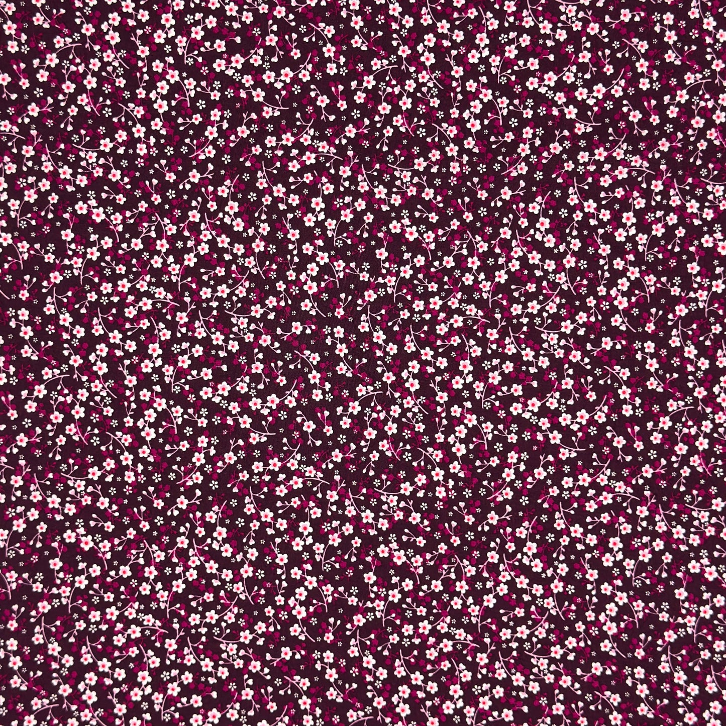 Cotton Quilting Des.116200 5 - Ragland Fabrics