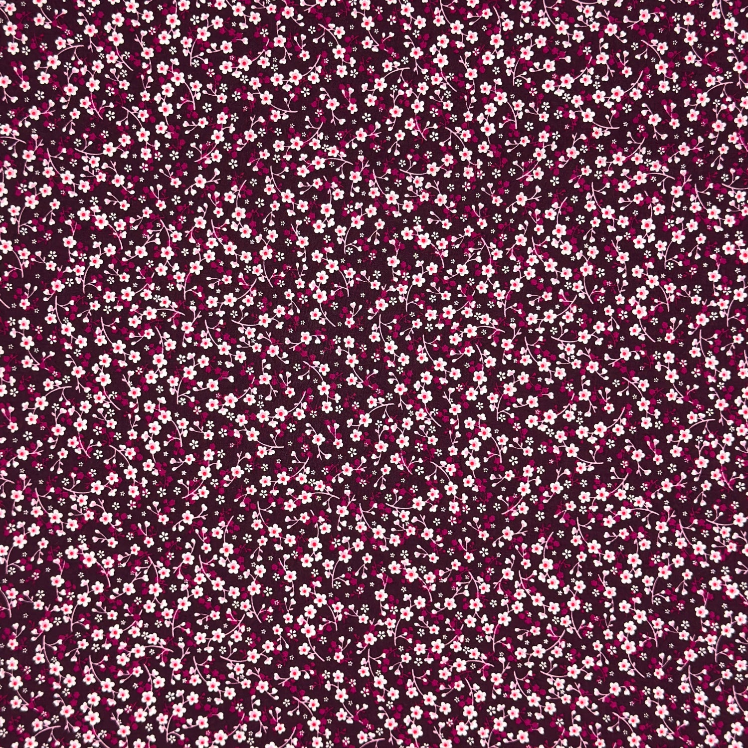 Cotton Quilting Des.116200 5 - Ragland Fabrics
