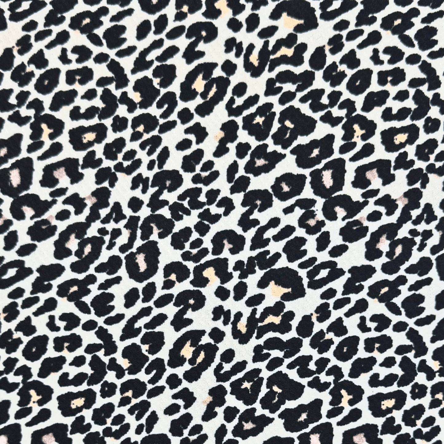 Printed Cotton Knit Leopard - Ragland Fabrics