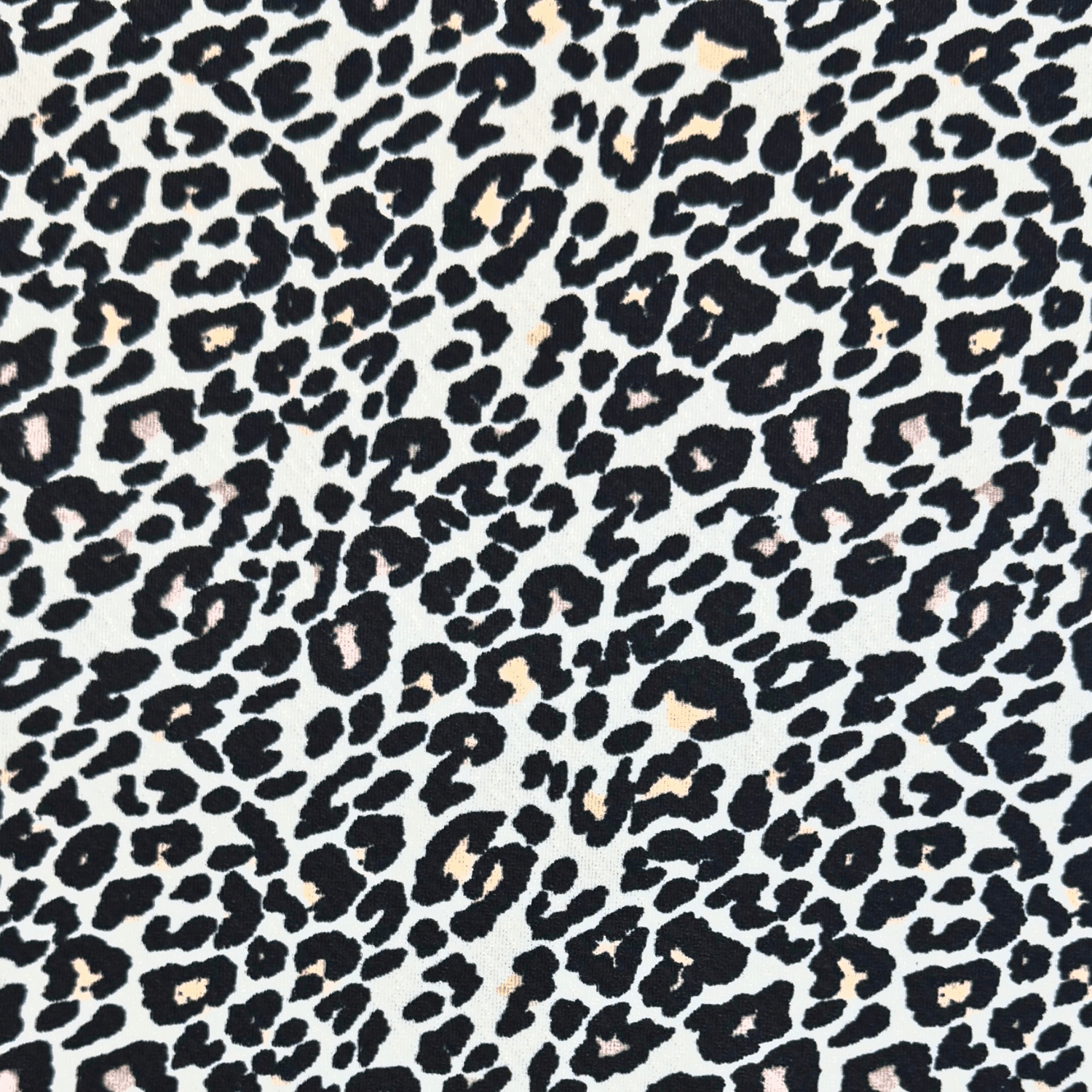 Printed Cotton Knit Leopard - Ragland Fabrics