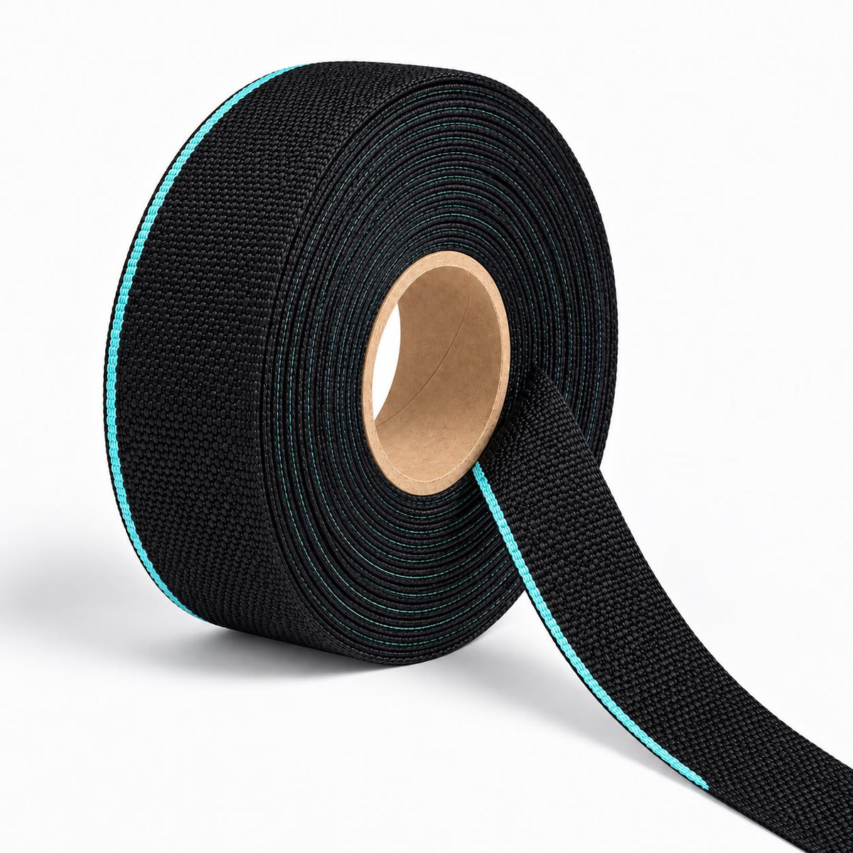 Nylon Webbing 22mm Black/Turq - TBD