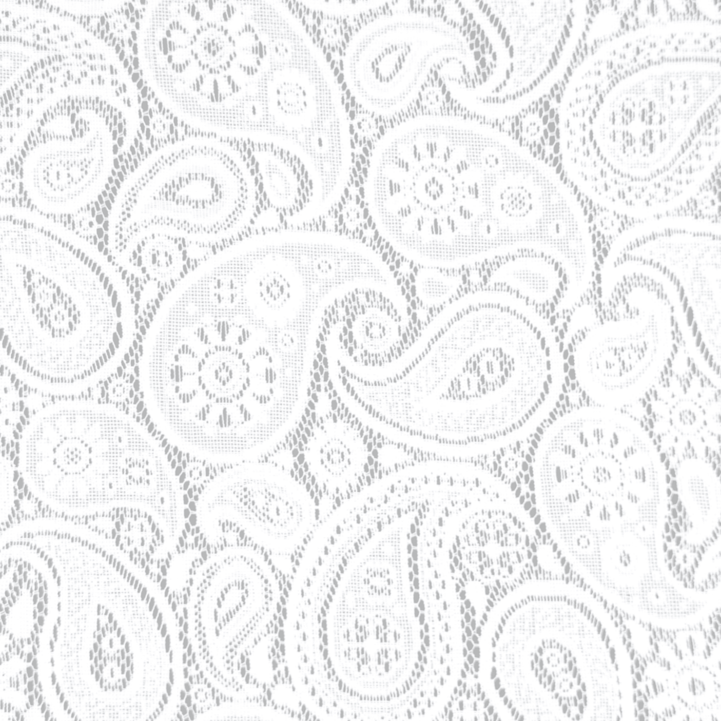 Lace Curtaining Hope White 00902 - Ragland Fabrics