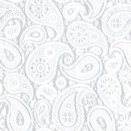 Lace Curtaining Hope White 00902 - Ragland Fabrics