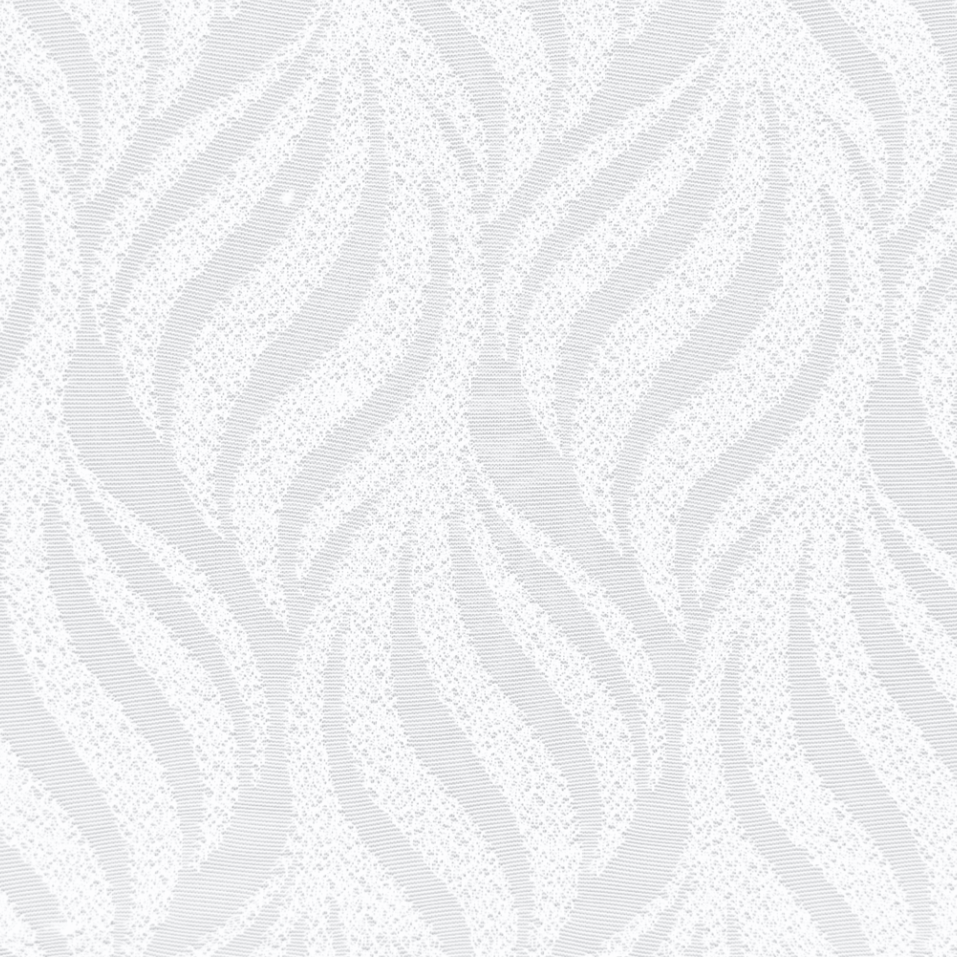 Lace Curtaining Pasha White 008002 - Ragland Fabrics