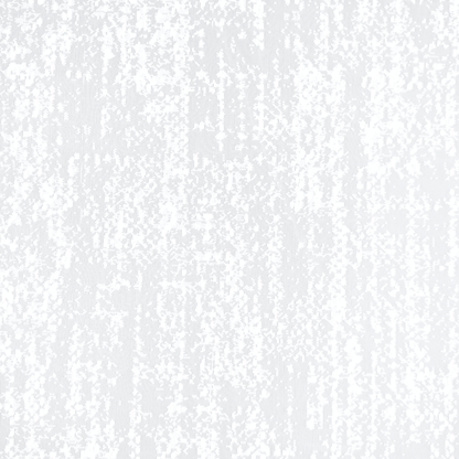 Lace Curtaining Pasha White 008006 - Ragland Fabrics