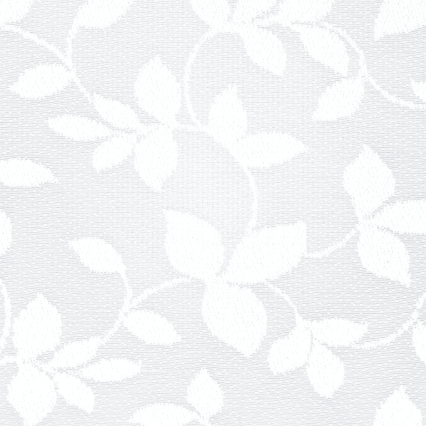 Lace Curtaining Pasha White 008015 - Ragland Fabrics