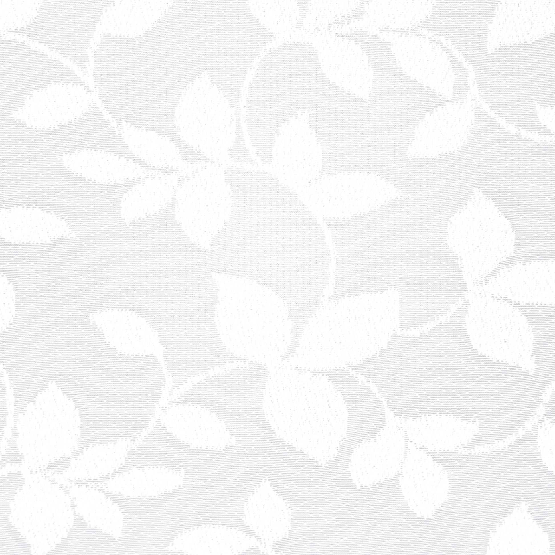 Lace Curtaining Pasha White 008015 - Ragland Fabrics