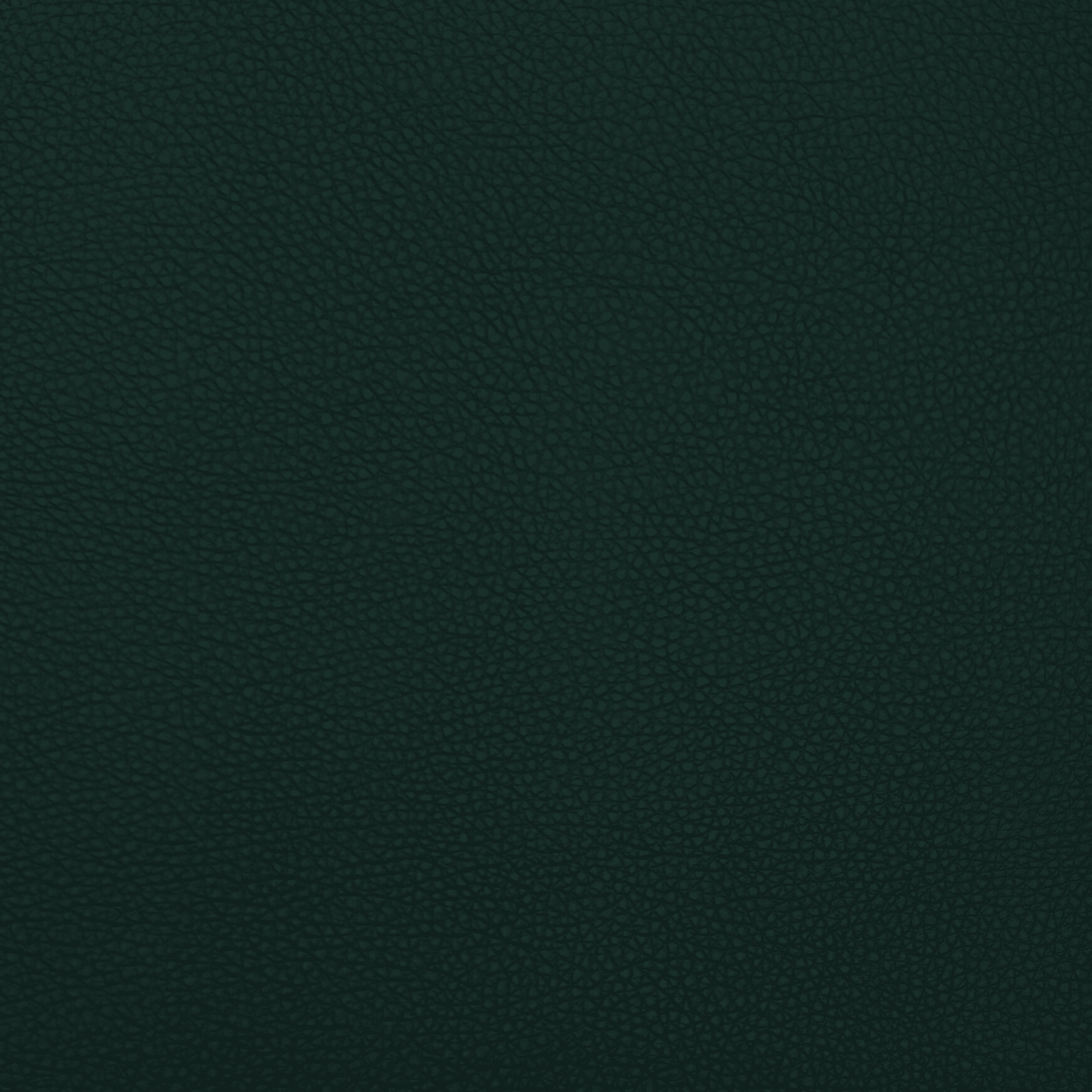 Anti Tear Vinyl Bottle Green - Ragland Fabrics
