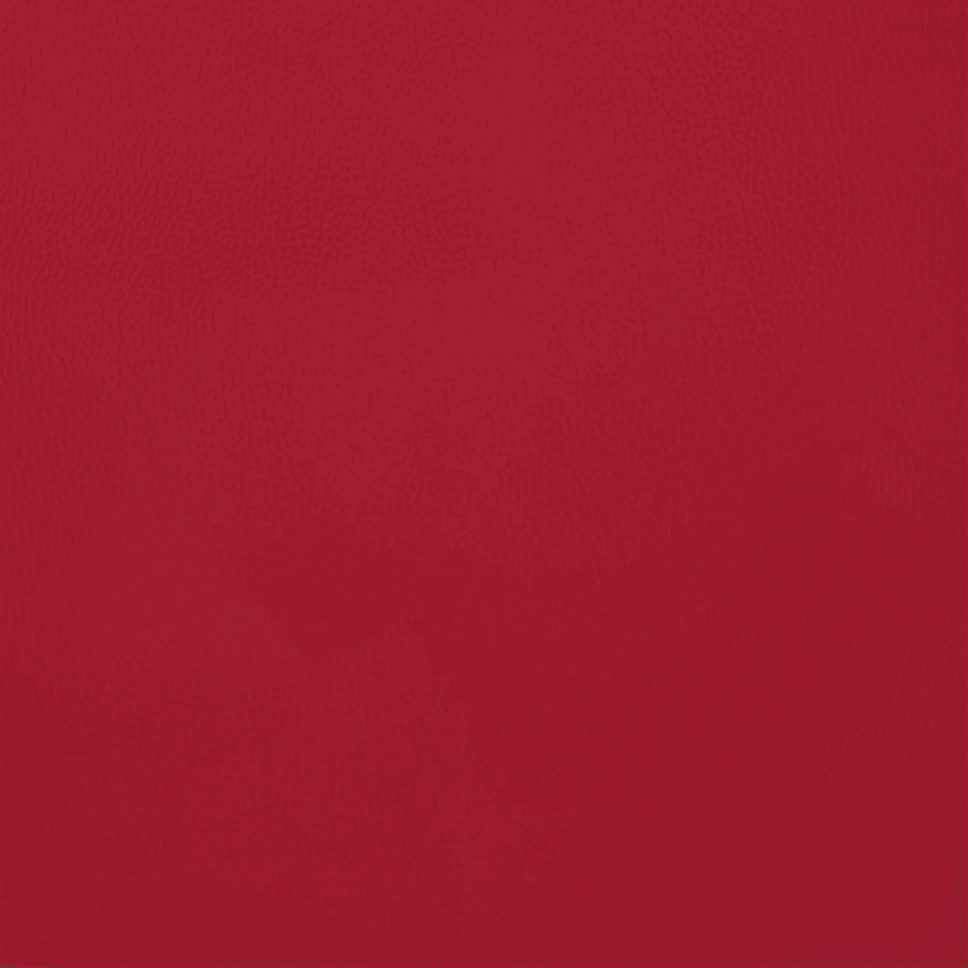 Anti Tear Vinyl Postbox Red - Discontinued - Ragland Fabrics