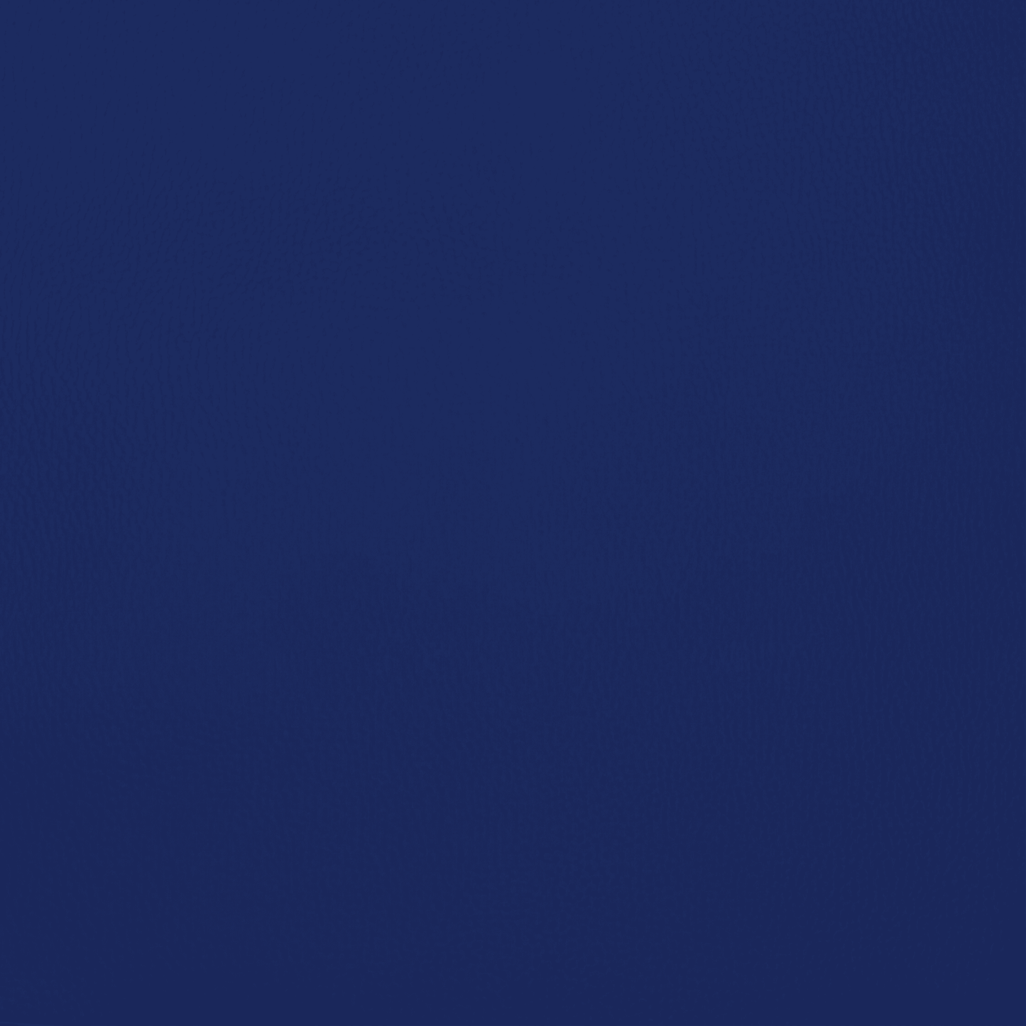 Anti Tear Vinyl Royal - Ragland Fabrics