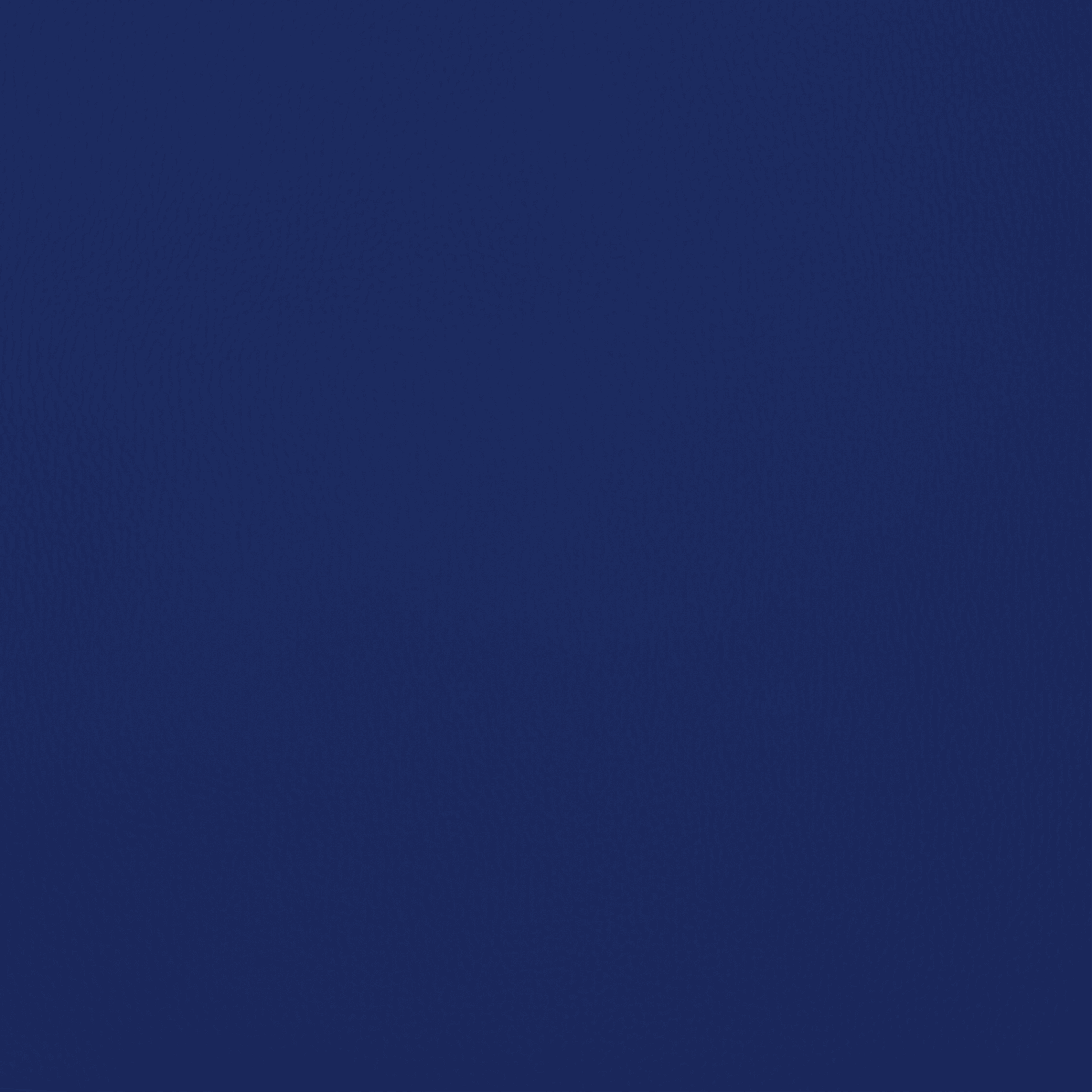 Anti Tear Vinyl Royal - Ragland Fabrics