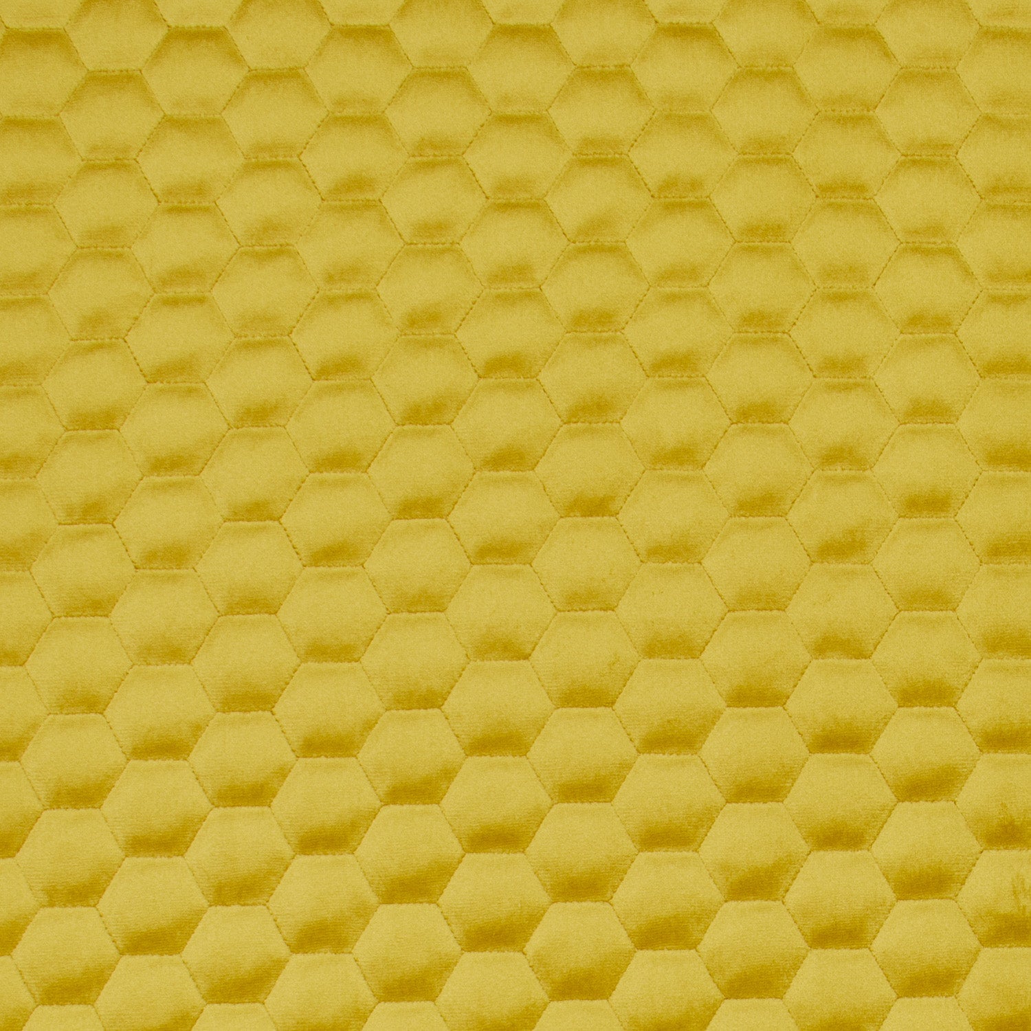 Bellahex Quilted Velvet 140cm Honey - Ragland Fabrics