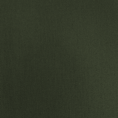 Bull Denim - Twill Weave Soldier - Ragland Fabrics