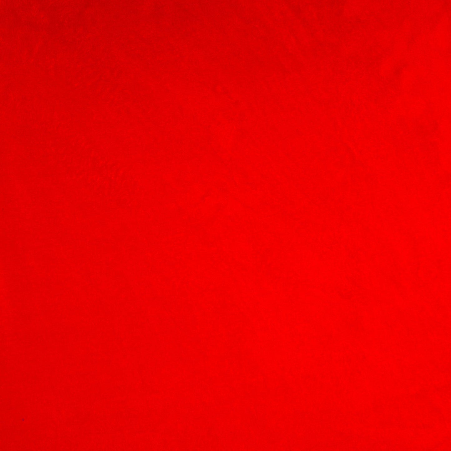 Coral Fleece Plain Red - Ragland Fabrics