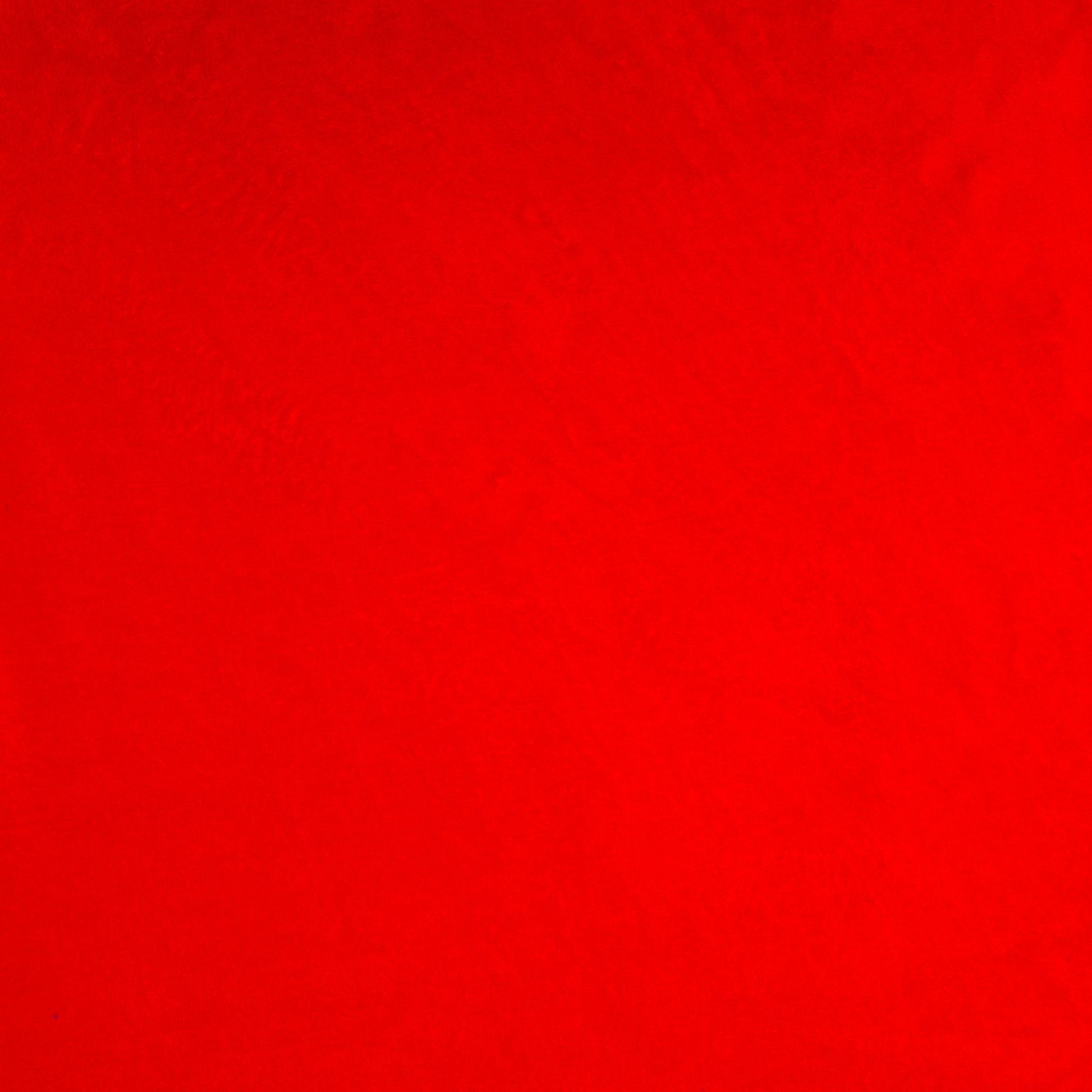 Coral Fleece Plain Red - Ragland Fabrics
