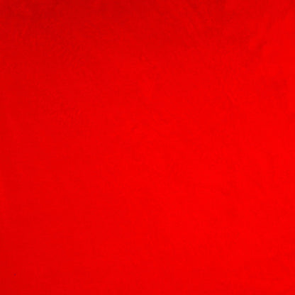 Coral Fleece Plain Red - Ragland Fabrics